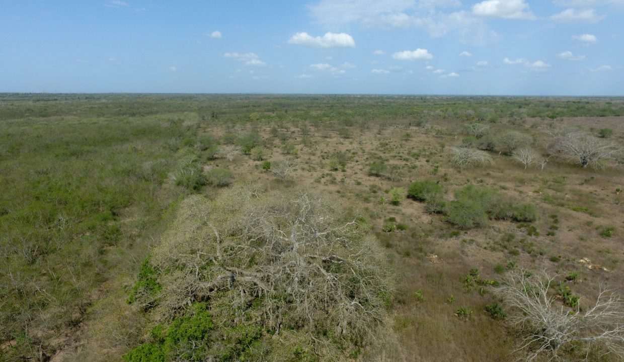 DCIM100MEDIADJI_0035.JPG