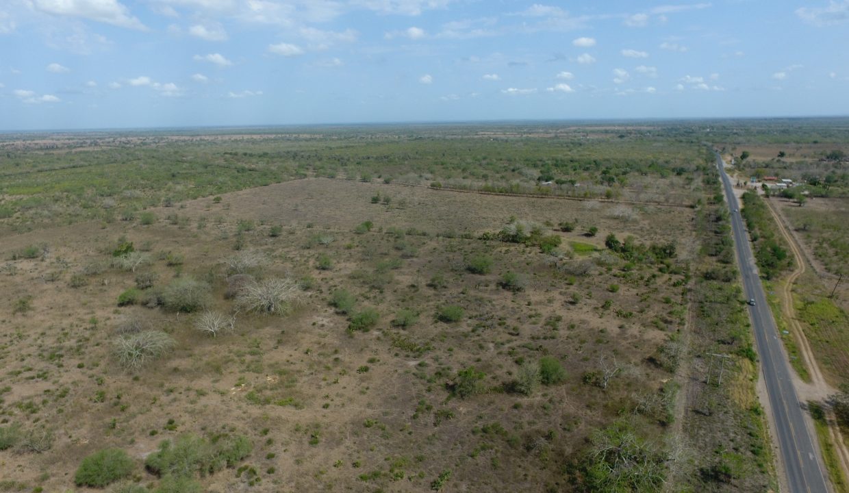 DCIM100MEDIADJI_0045.JPG