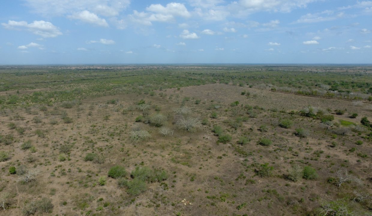 DCIM100MEDIADJI_0053.JPG
