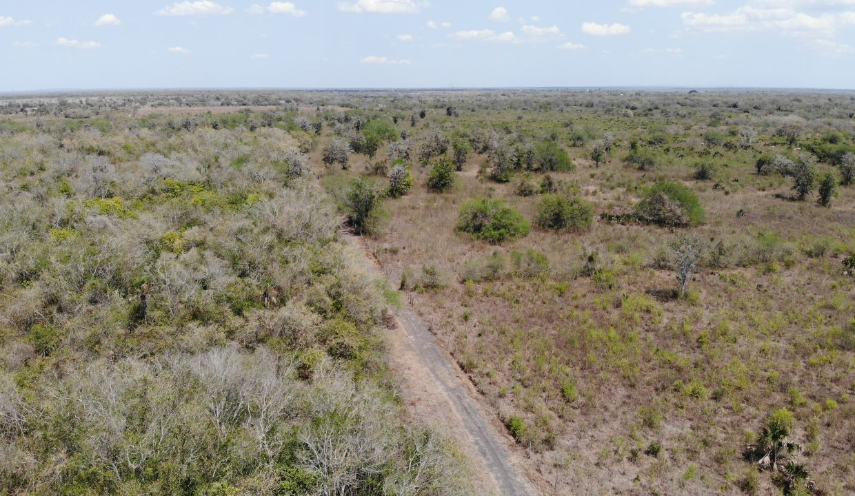 created by dji camera