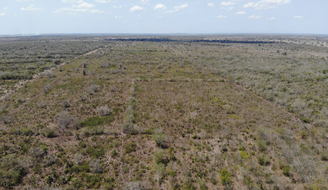 created by dji camera