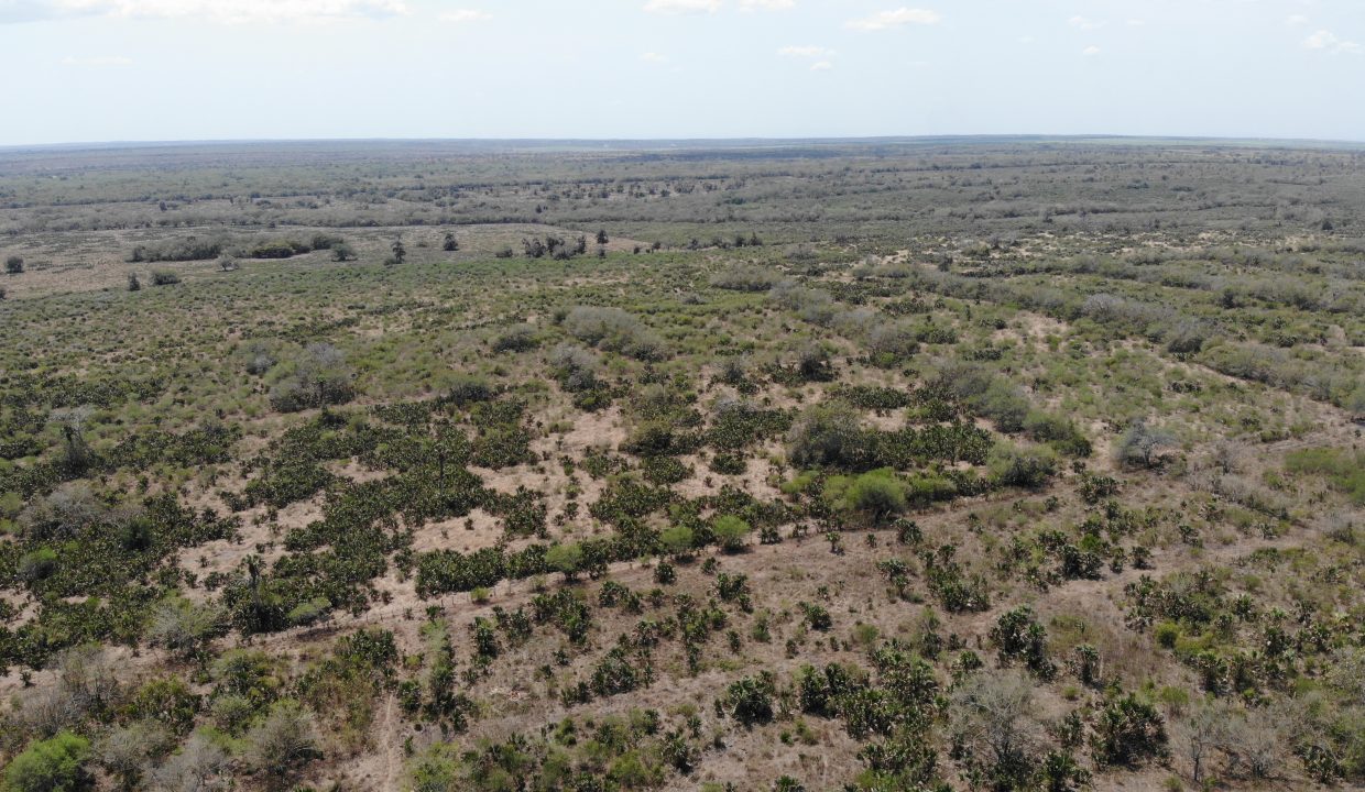 created by dji camera