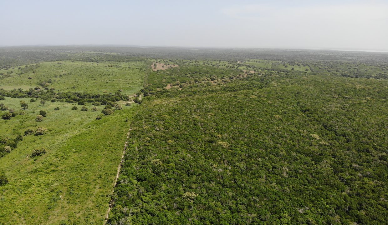 created by dji camera