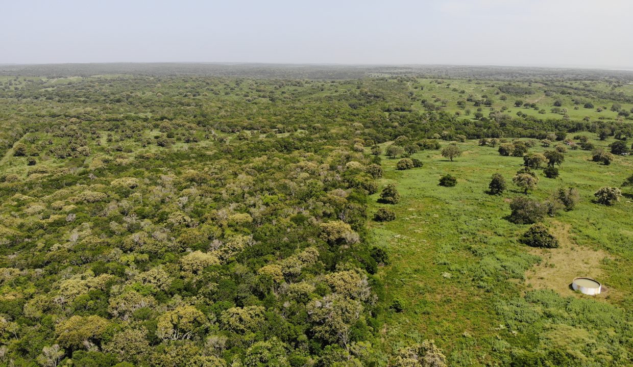 created by dji camera