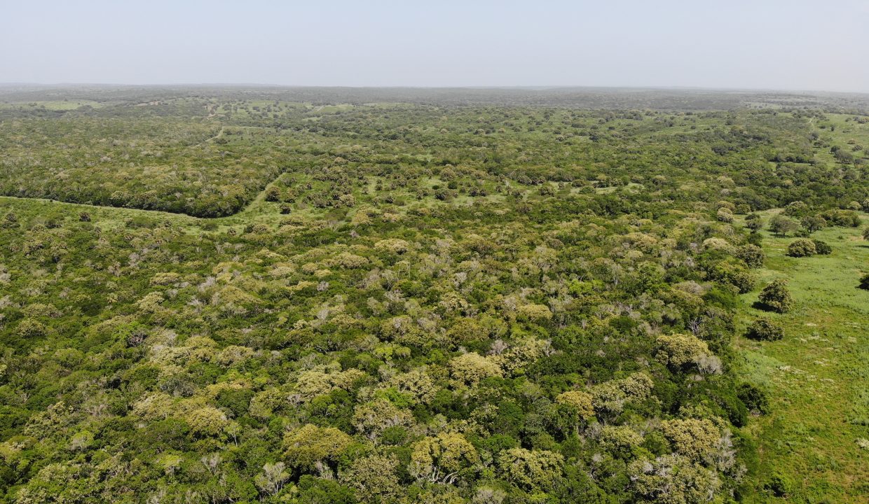 created by dji camera