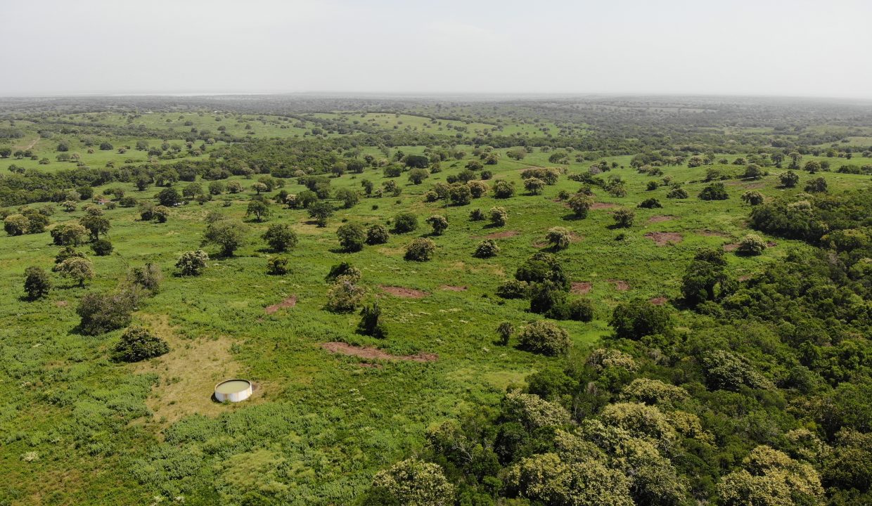 created by dji camera