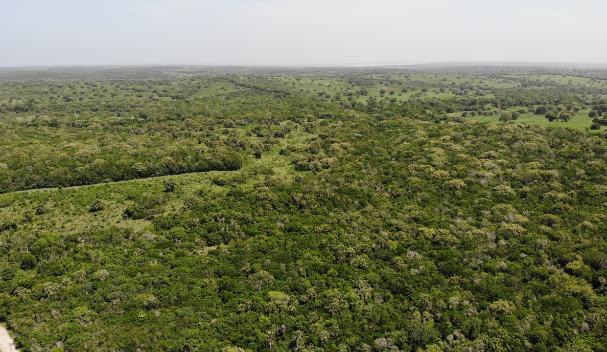 created by dji camera