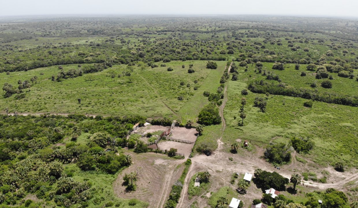 created by dji camera