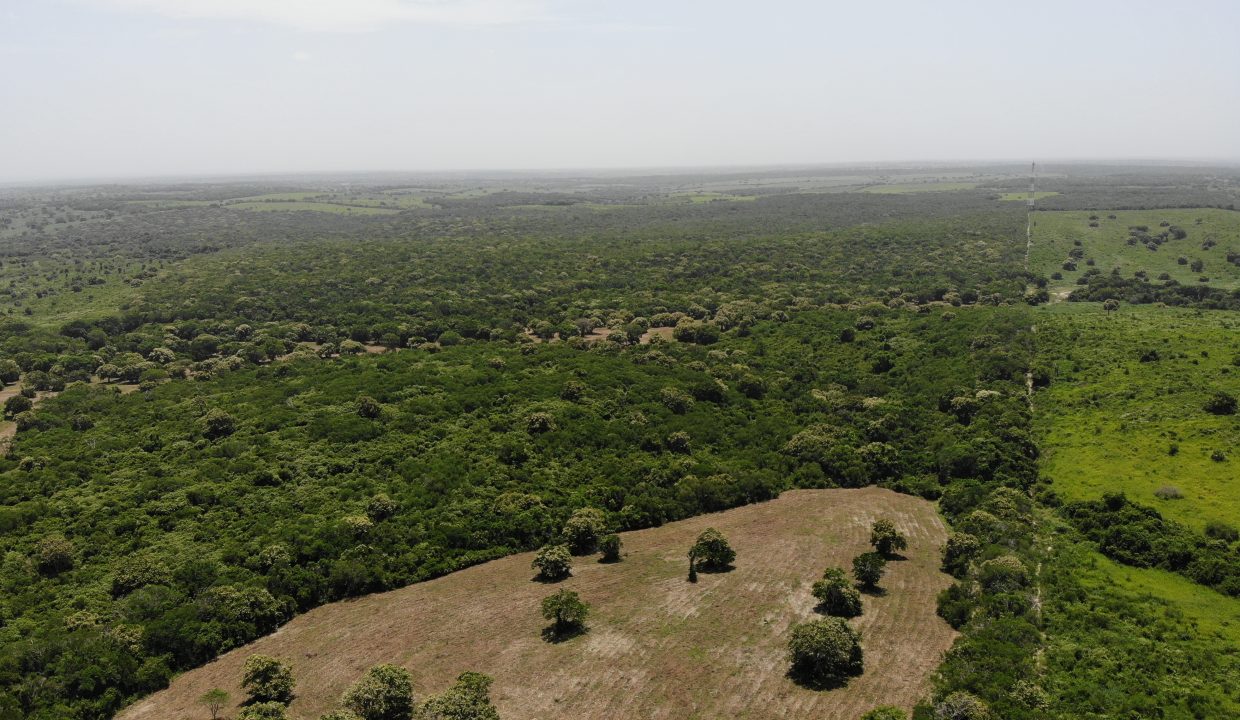 created by dji camera