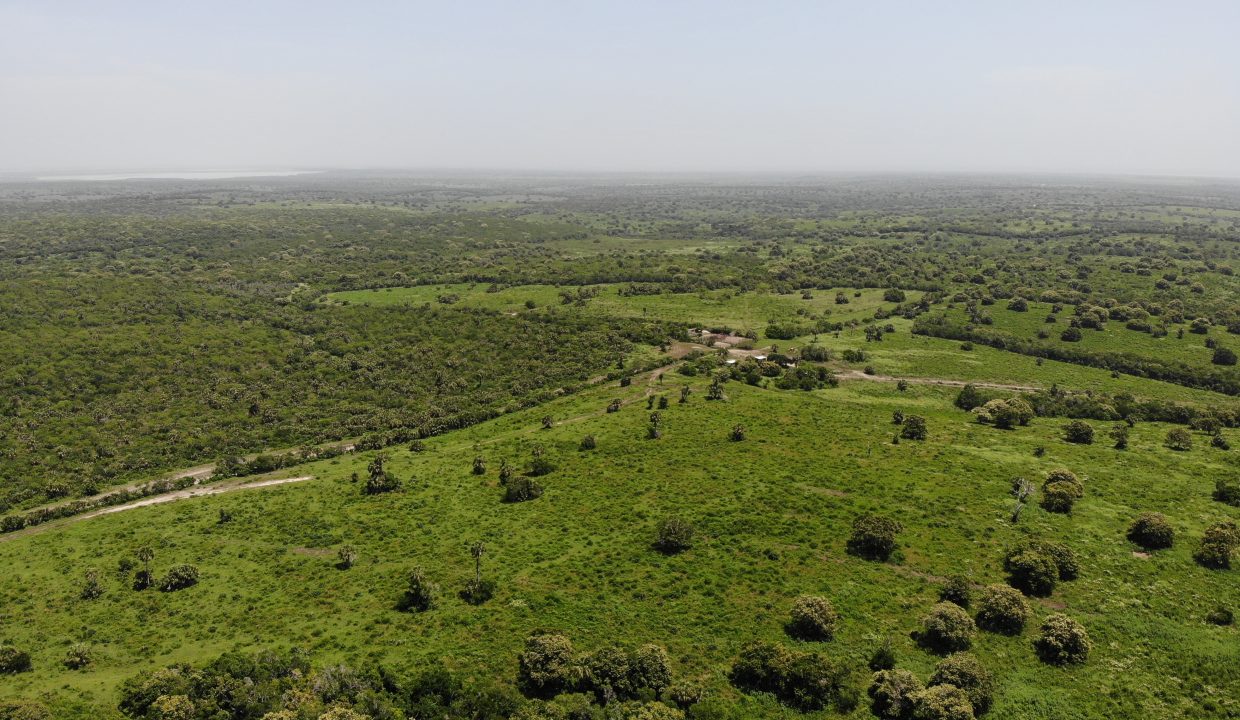 created by dji camera