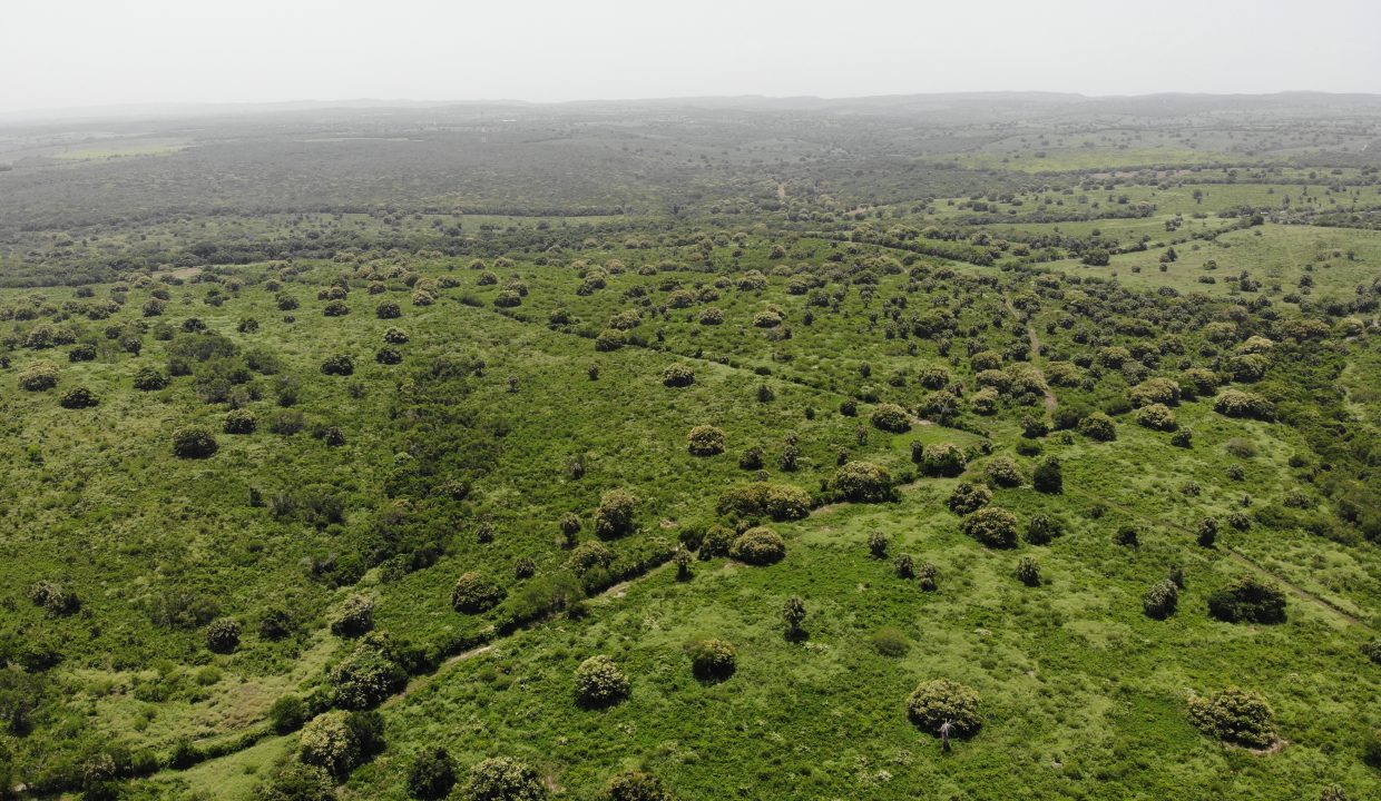 created by dji camera