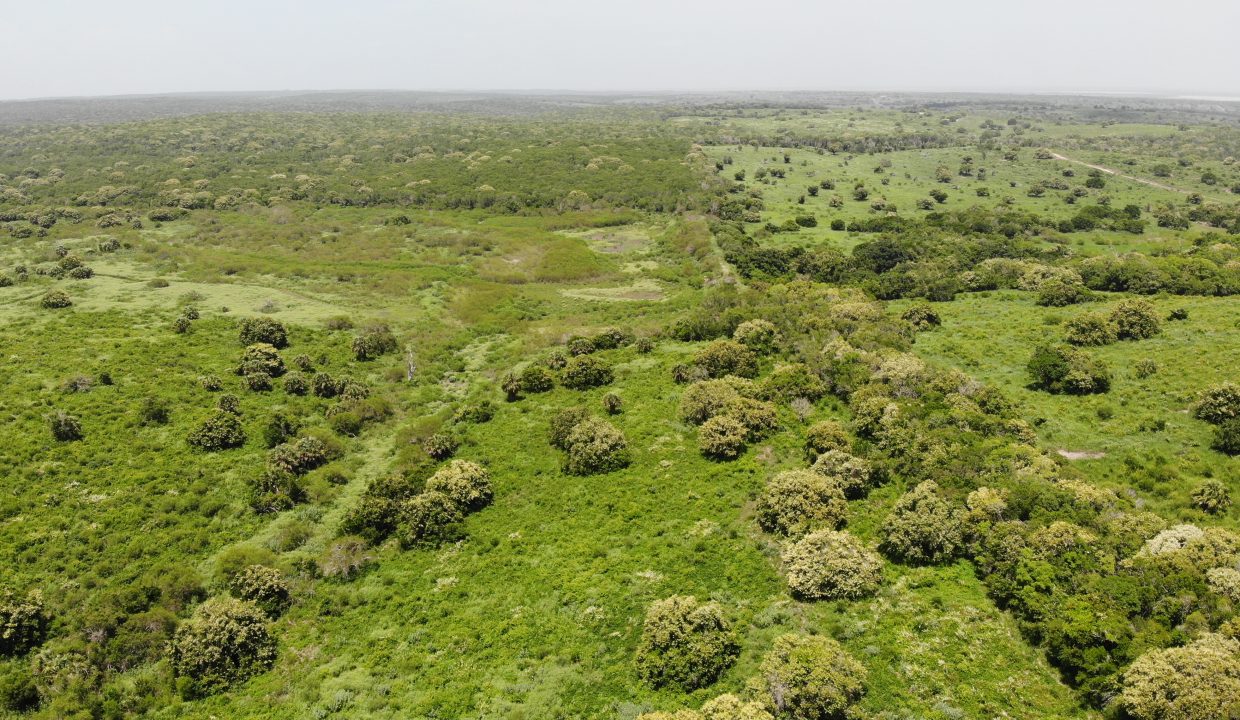 created by dji camera