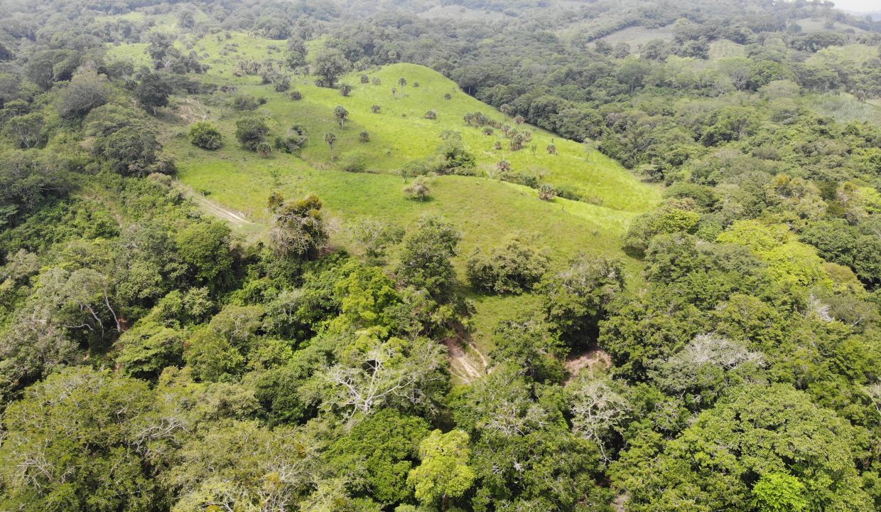 created by dji camera