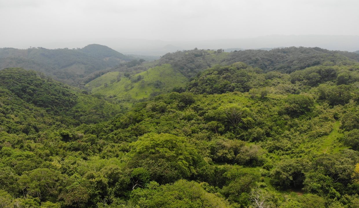 created by dji camera
