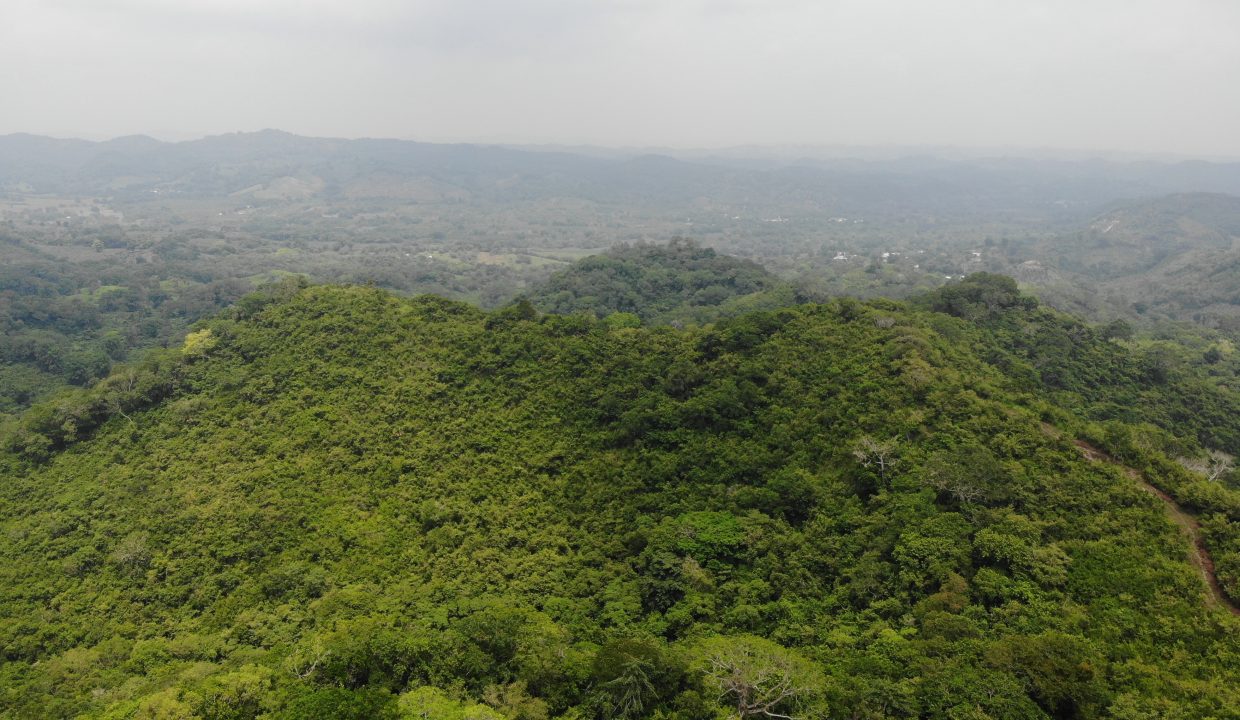 created by dji camera
