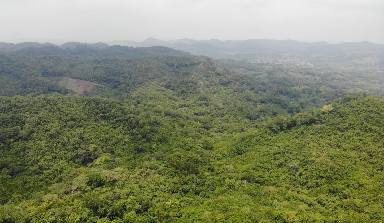 created by dji camera