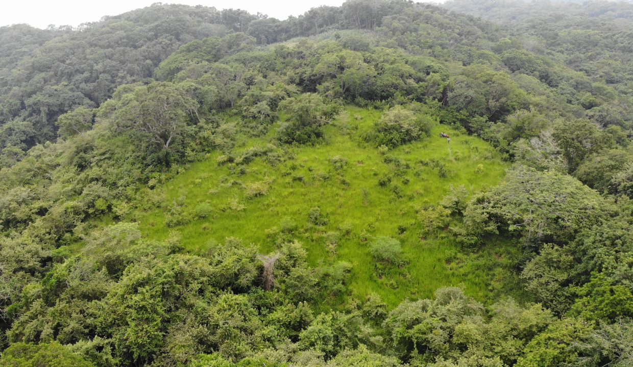 created by dji camera