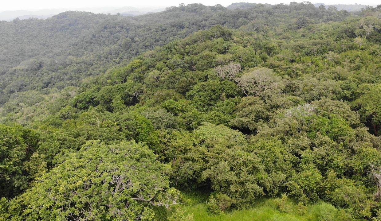 created by dji camera