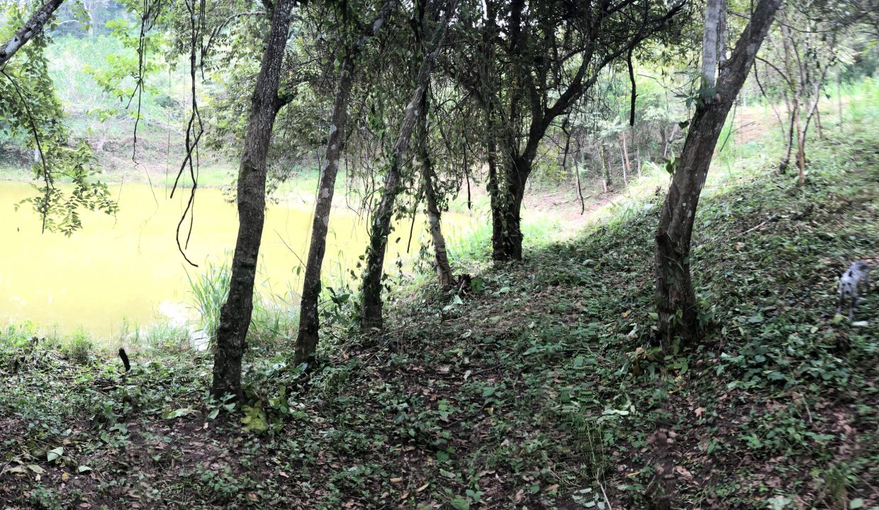 IMG_1060 (2)